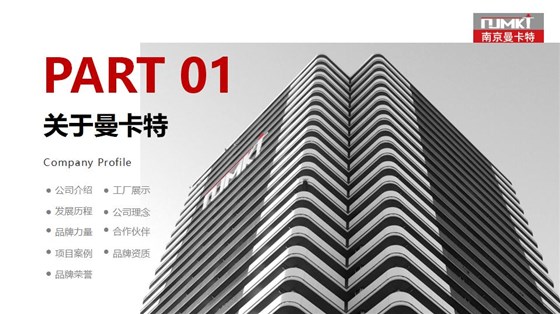 曼卡特MT-500植筋胶(快固型)_03