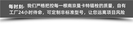 力矩控制式胶粘型锚栓 (15)_副本