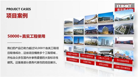 让隧道使用年限100年的南京曼卡特植筋胶2