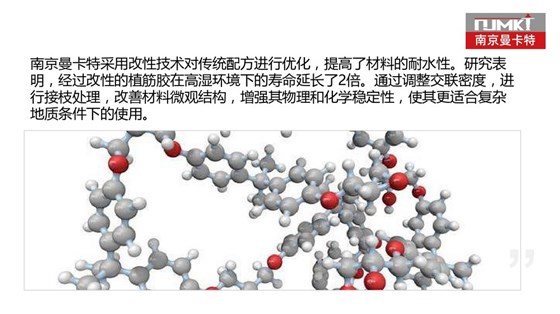 让隧道使用年限100年的南京曼卡特植筋胶(16)