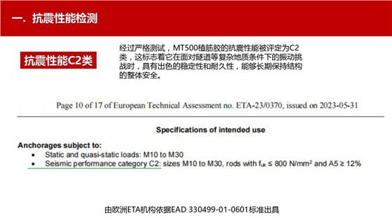 让隧道使用年限100年的南京曼卡特植筋胶 (24)