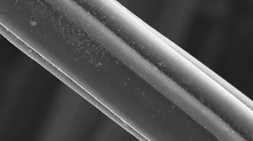 显微镜下的碳纤维丝