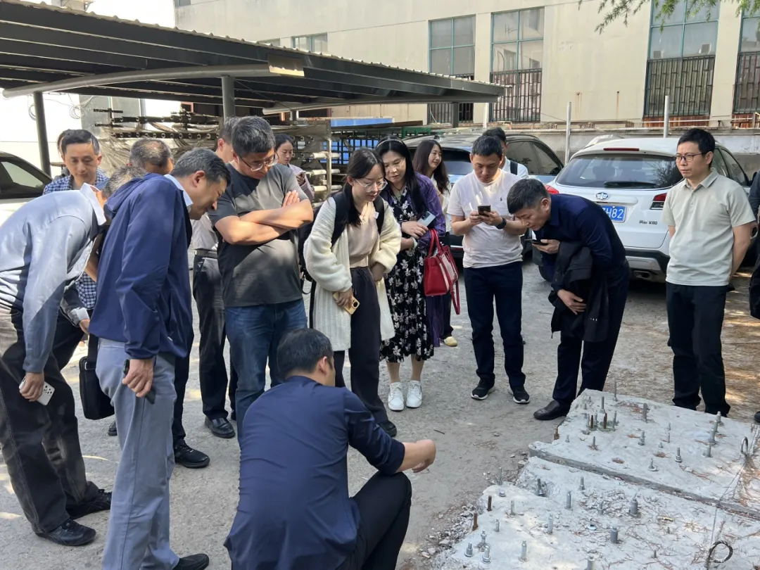 图片7