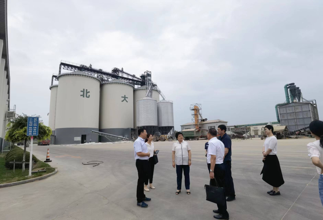 辽宁北大荒物流有限公司立筒仓项目